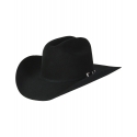resistol black gold 20x beaver
