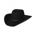 Resistol® Holt Jr Hat