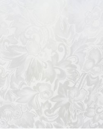 Silk Wild Rags - Jacquard