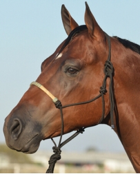 Equibrand® Braided Rawhide Rope Halter