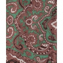 Paisley Silk Wild Rag