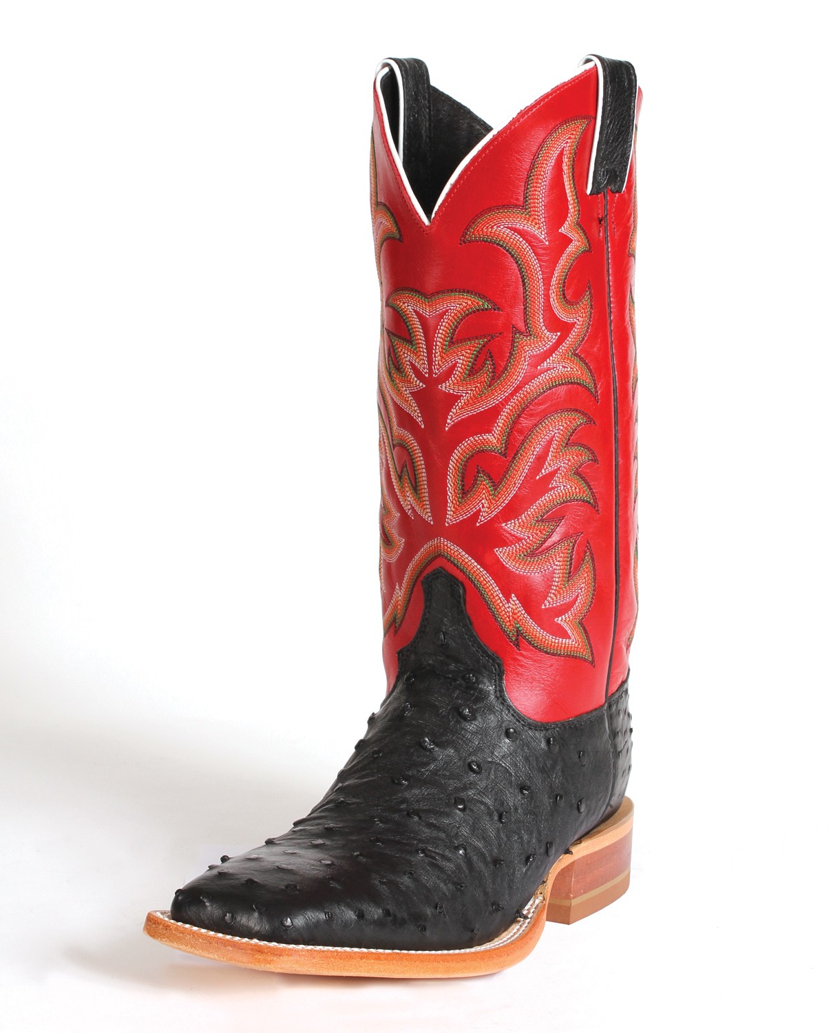 justin aqha full quill ostrich