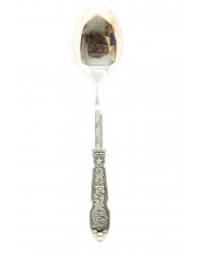 Western Moments® Silverado Serving Spoon