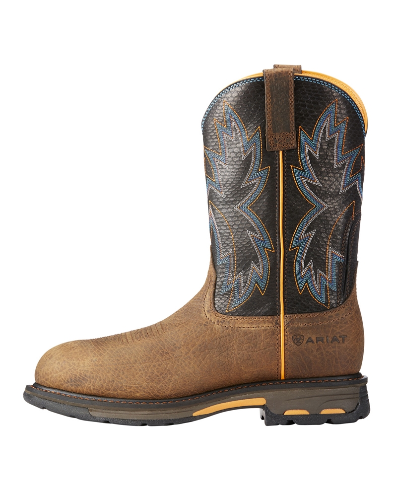 ariat raptor