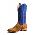 Horse Power® Men's FQ Ostrich W/Blue Top