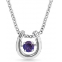 Montana Silversmiths® Ladies' February Necklace