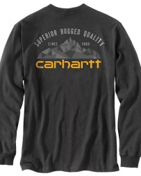 Carhartt® Men's Graphic LS T-Shirt