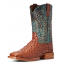 Ariat® Men's Gallup FQ Ostrich Brandy