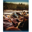 Ranch Life Wild Rags® Men's Resting Saddles Silk Wild Rag