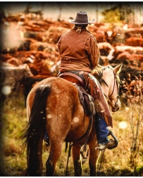 Ranch Life Wild Rags® Men's Counting Head Silk Wild Rag