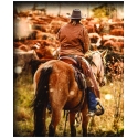 Ranch Life Wild Rags® Men's Counting Head Silk Wild Rag
