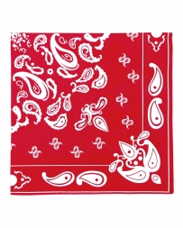 20Pk Bandana Cocktail Napkins