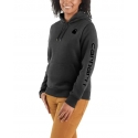 Carhartt® Ladies' Clarksburg Graphic Hoodie