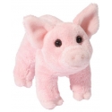 Douglas Cuddle Toys® Buttons Teacup Pig