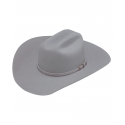 Twister Ladies' 10X 4.25 SS Felt Hat Grey