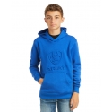 Ariat® Boys' Blue Logo Hoodie