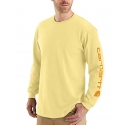 Carhartt® Men's Graphic T-Shirt
