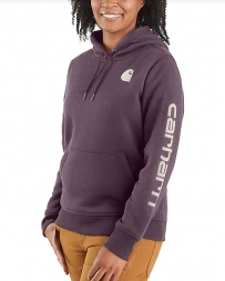 Carhartt® Ladies' Clarksburg Graphic Hoodie