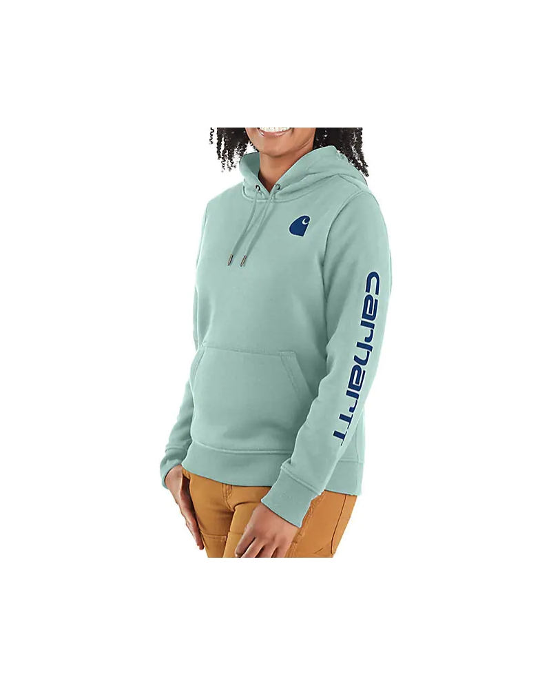 Carhartt Women's Clarksburg Graphic Sleeve Hoodie