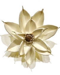 Wilco Home® Magnolia Magnet