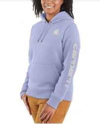 Carhartt® Ladies' Clarksburg Graphic Hoodie