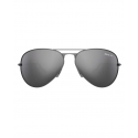 Bex® Brushed Silver Sunglasses
