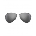 Bex® Brushed Silver Sunglasses
