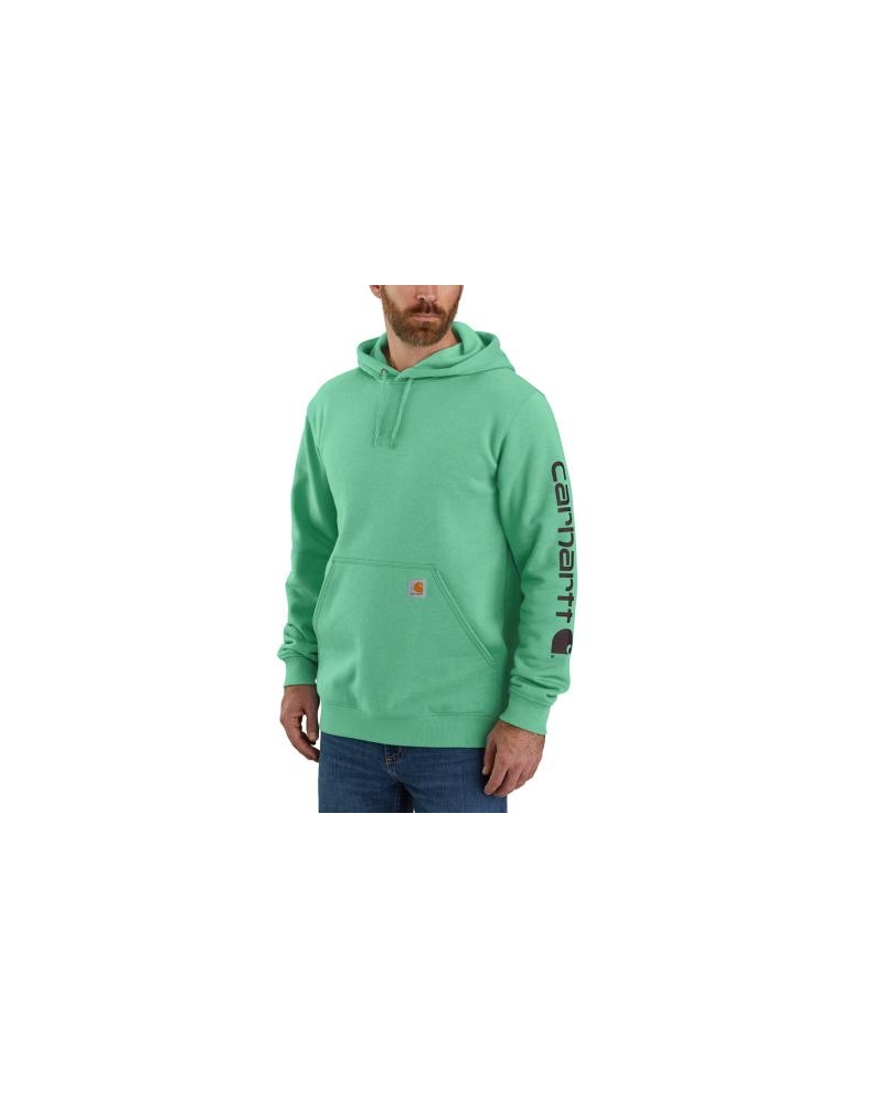 Carhartt Men s Midweight Sleeve Logo Hoodie Fort Brands
