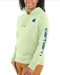 Carhartt® Ladies' Clarksburg Graphic Hoodie