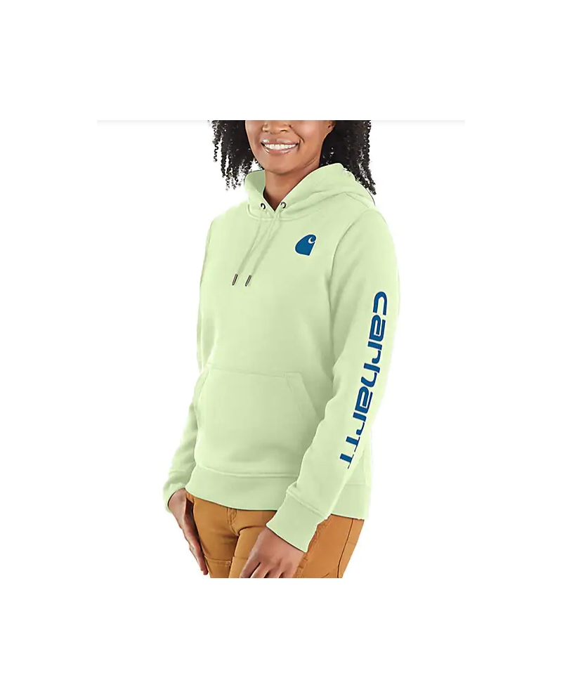 Carhartt® Ladies' Clarksburg Graphic Hoodie