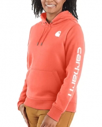 Carhartt® Ladies' Clarksburg Graphic Hoodie