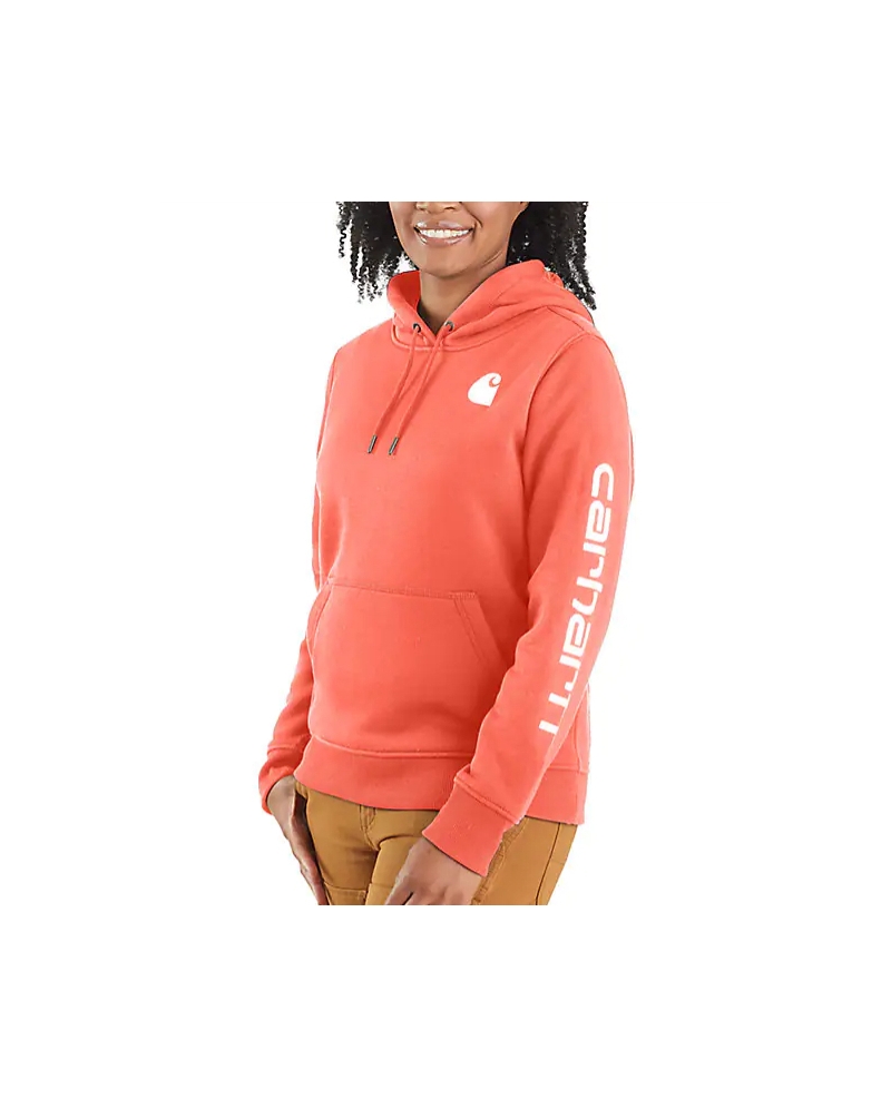 Carhartt® Ladies' Clarksburg Graphic Hoodie - Fort Brands