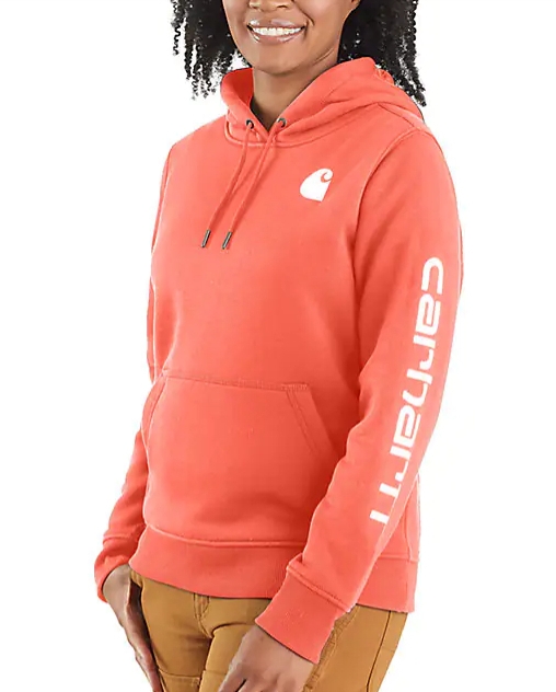 Carhartt® Ladies' Clarksburg Graphic Hoodie - Fort Brands