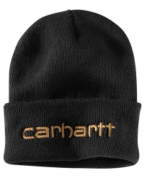 Carhartt® Men's Teller Watch Hat 40GM