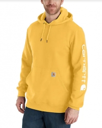 Carhartt® Men's Midweight Sleeve Logo Hoodie