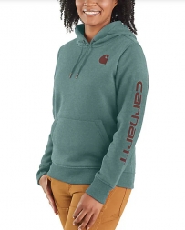 Carhartt® Ladies' Clarksburg Graphic Hoodie