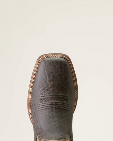 Ariat® Men's Steadfast Elephant Print - Fort Brands