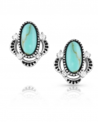 Montana Silversmiths® Ladies' Turquoise Treasure Post Earrings