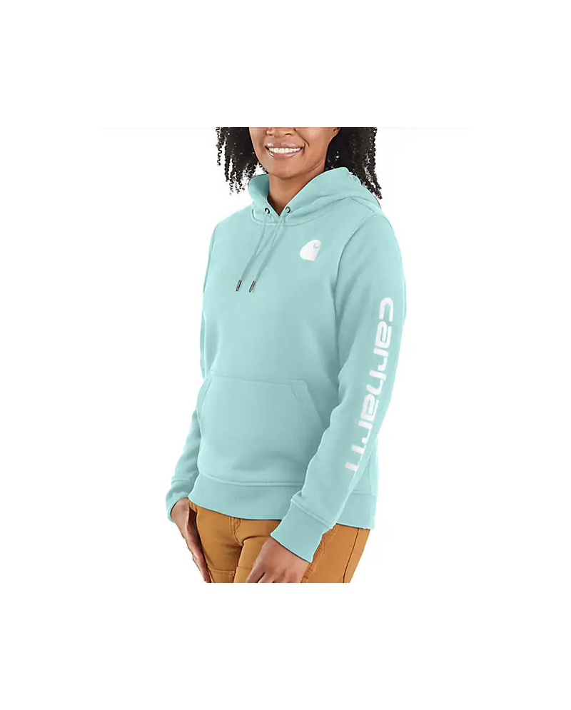 Carhartt Ladies Clarksburg Graphic Hoodie Fort Brands