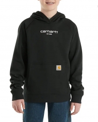 Carhartt® Boys' Graphic Hoodie