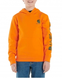 Carhartt® Boys' Graphic Hoodie Youth