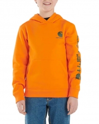 Carhartt® Boys' Graphic Hoodie