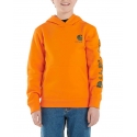 Carhartt® Boys' Graphic Hoodie