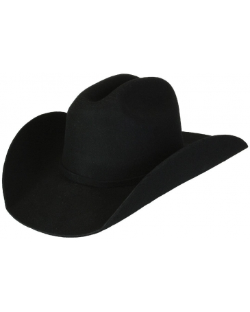Bullhide® Appaloosa 2X Wool Felt Hat - Fort Brands